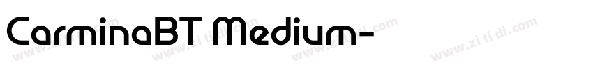 CarminaBT Medium字体转换